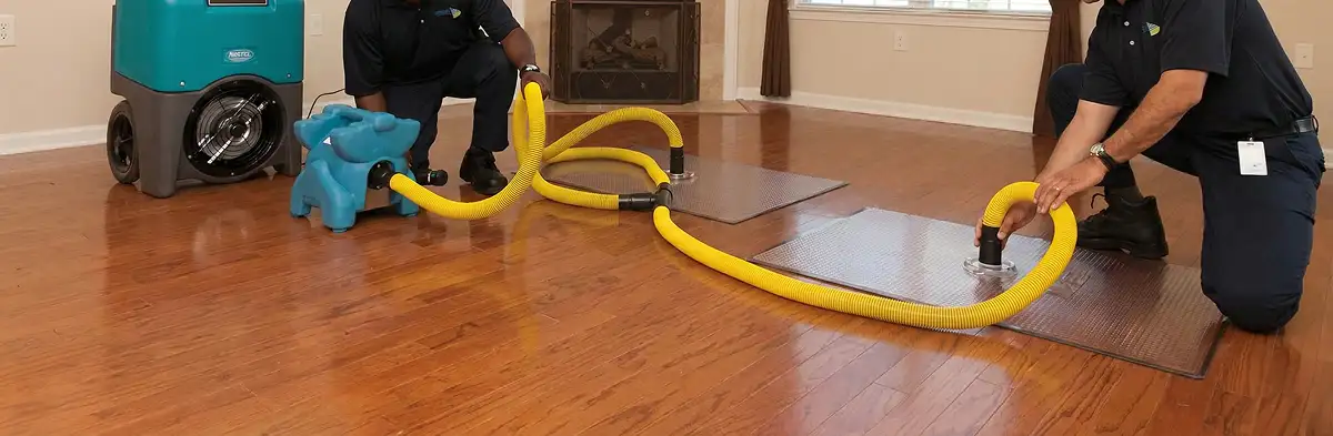 emergency water removal technicians extracting standing water from a home using professional equipment in Indianapolis, IN